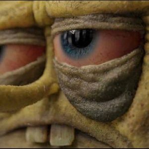 Meet your Posher, Brayden